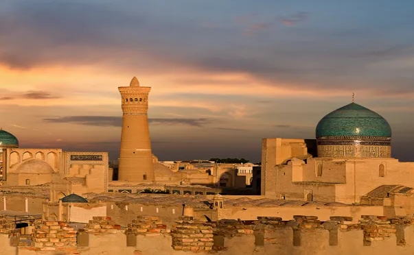 乌兹别克斯坦海关数据查询平台（附免费试用查询名额)